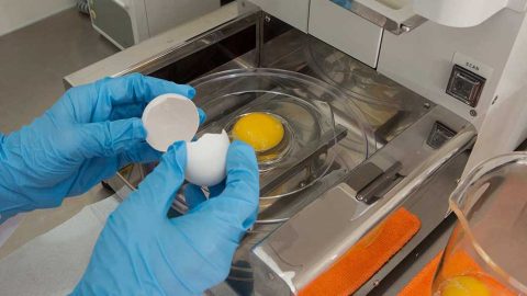 6R6A1848-1-break-egg