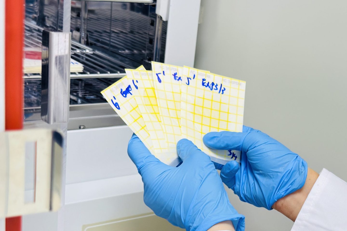 0505A855-F3E5-4DA2-993B-3C81474C325A_0